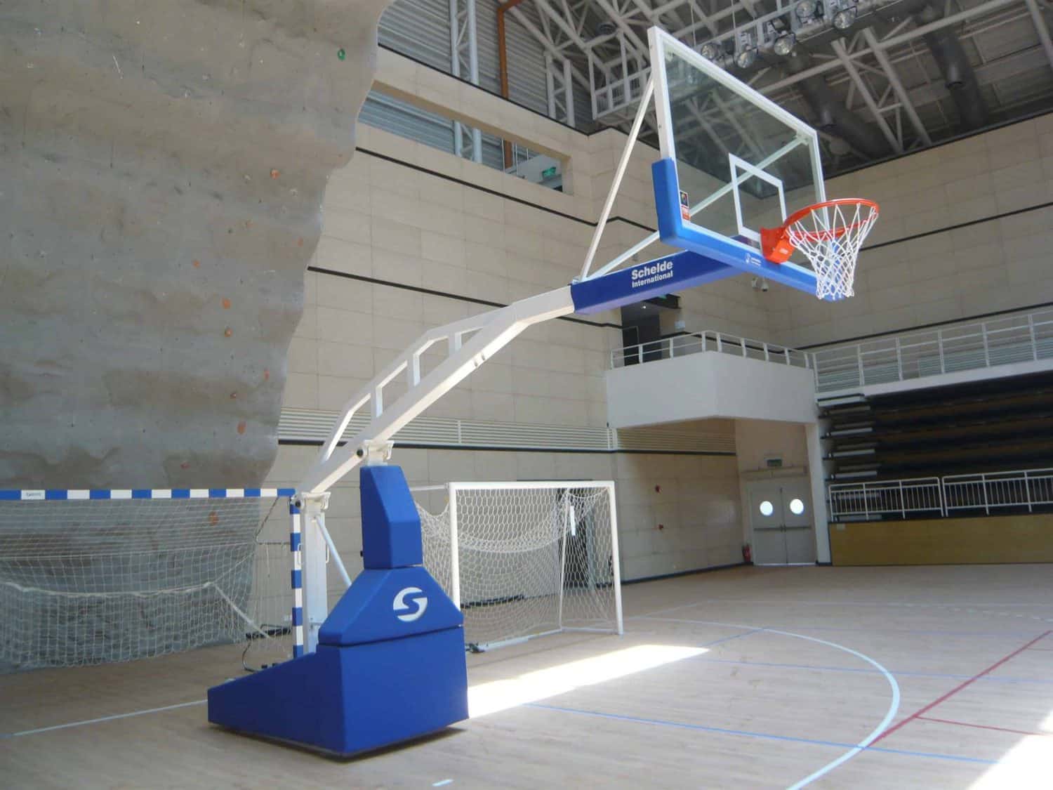 Professional basketball goal